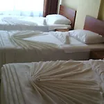 Gray Wolf Bed & Breakfast