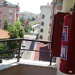 Gray Wolf Alanya