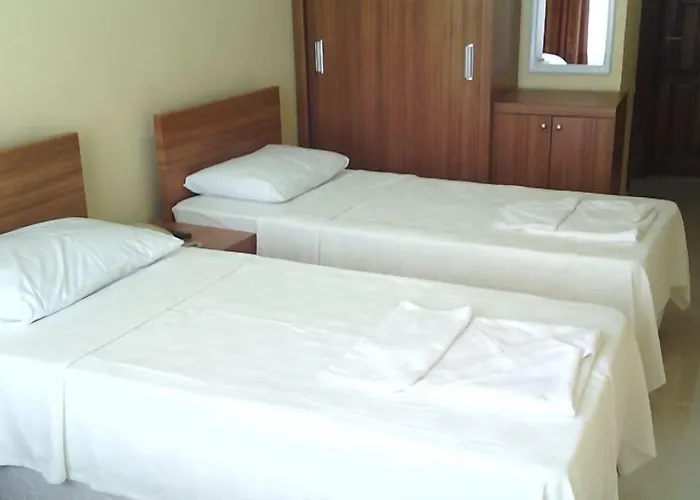 Bed and Breakfast Gray Wolf