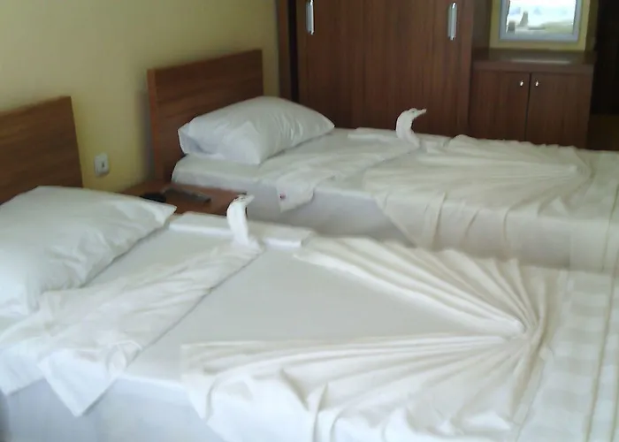 Gray Wolf Bed & Breakfast