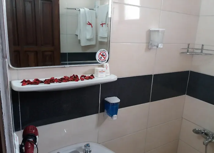 Bed & Breakfast Gray Wolf 5*